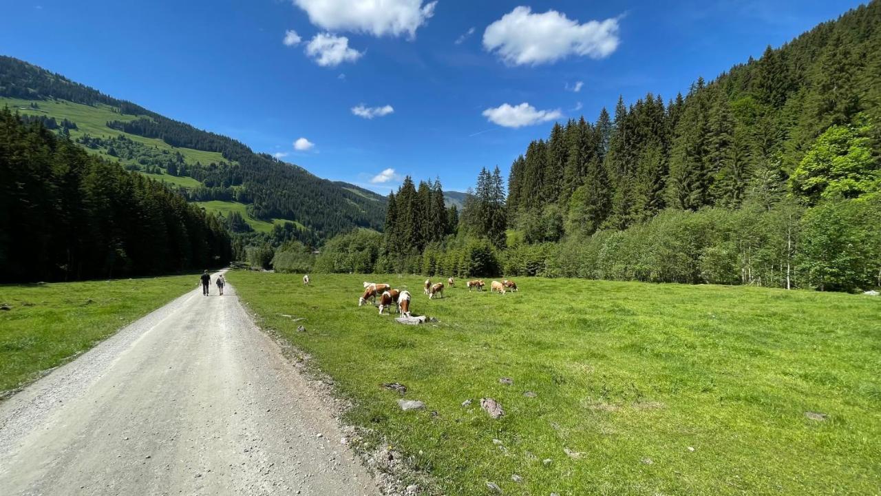 Haizelrock Kirchberg in Tirol Bagian luar foto