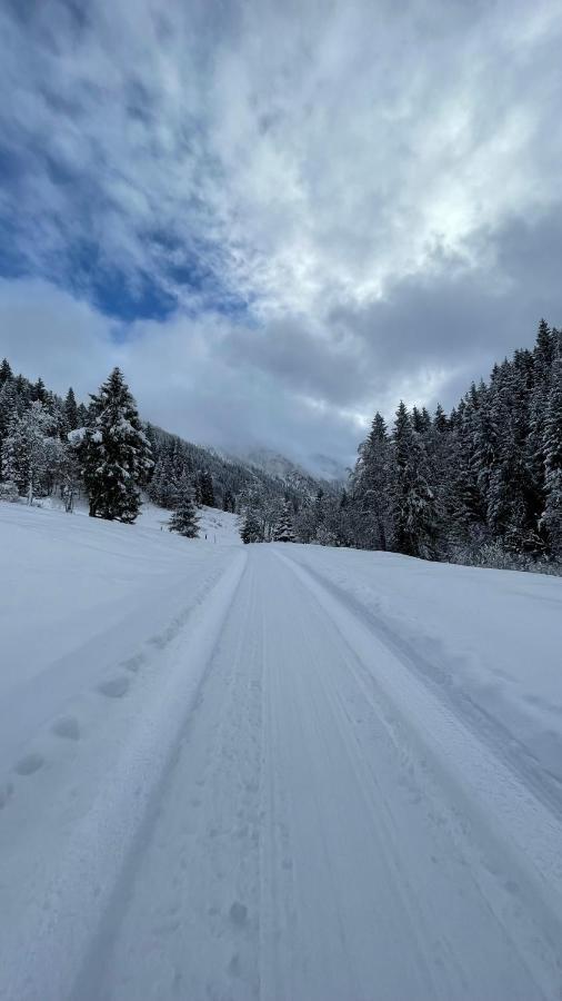 Haizelrock Kirchberg in Tirol Bagian luar foto