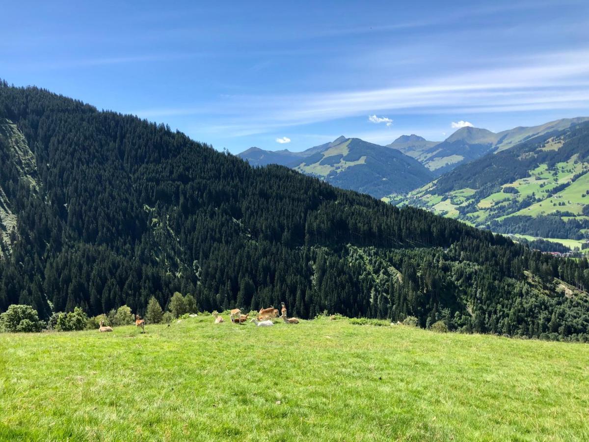 Haizelrock Kirchberg in Tirol Bagian luar foto