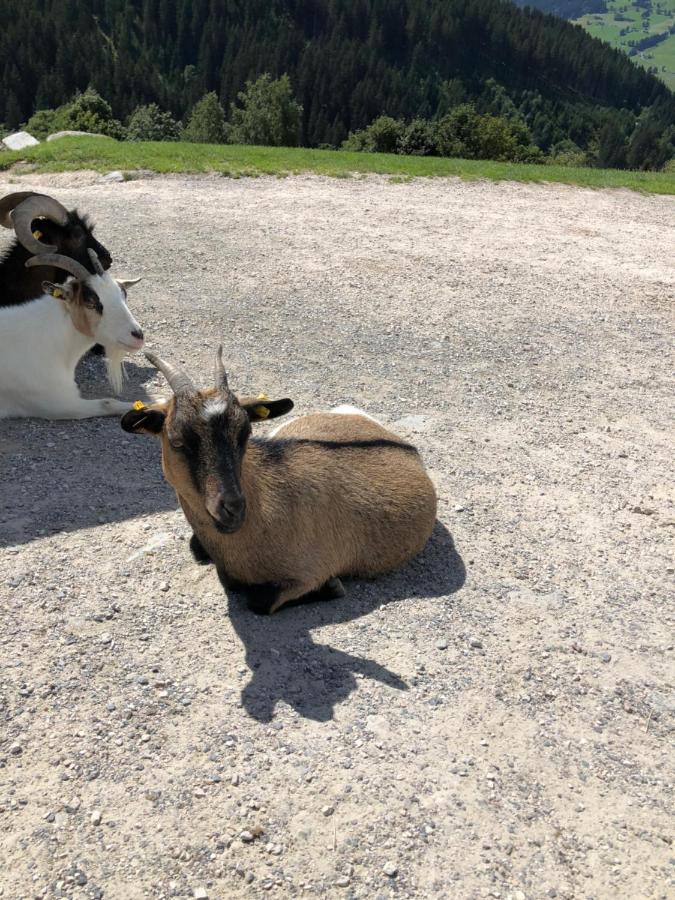 Haizelrock Kirchberg in Tirol Bagian luar foto