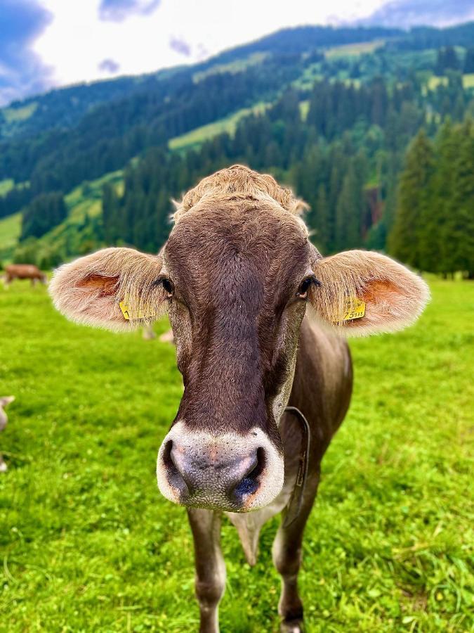 Haizelrock Kirchberg in Tirol Bagian luar foto